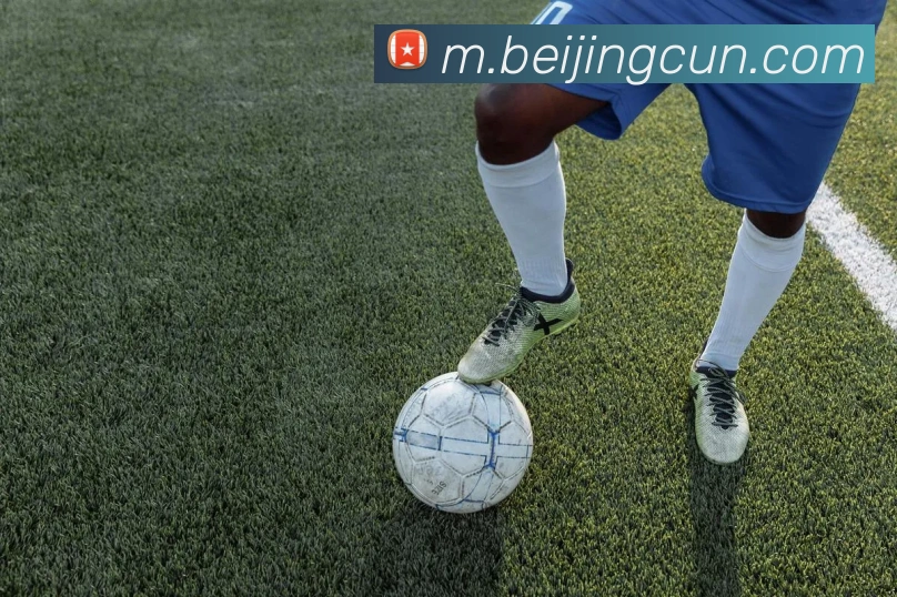 火博体育登录服务体系